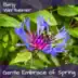 Gentle Embrace of Spring (feat. Jami Sieber, Nancy Rumbel & Todd Boston) song reviews