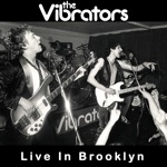 The Vibrators - We're The Dead (Live, Brooklyn, 2 October 2010)