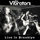 The Vibrators - 24 Hour People (Live, Brooklyn, 2 October 2010)