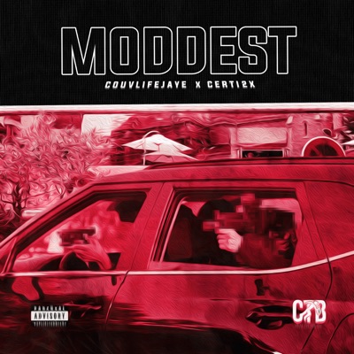 Moddest - Single
