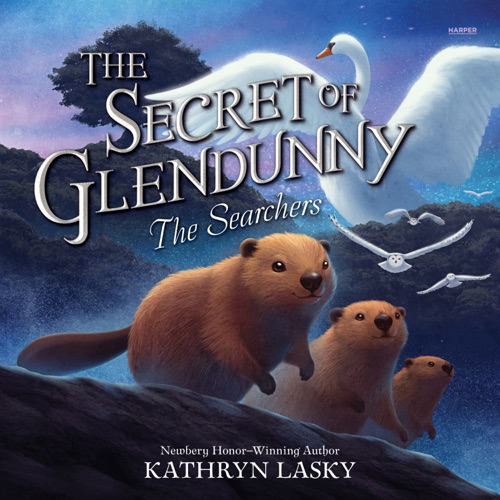 The Secret of Glendunny #2: The Searchers cover