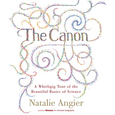 The Canon : A Whirligig Tour of the Beautiful Basics of Science