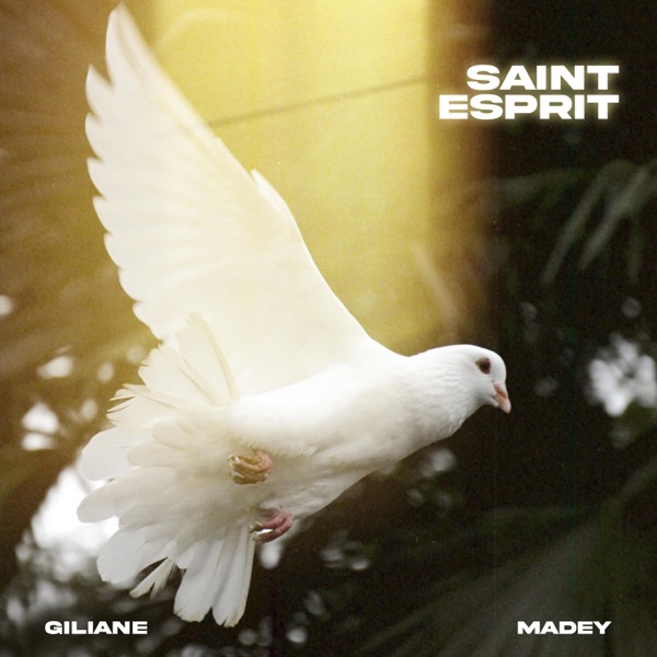 Saint Esprit