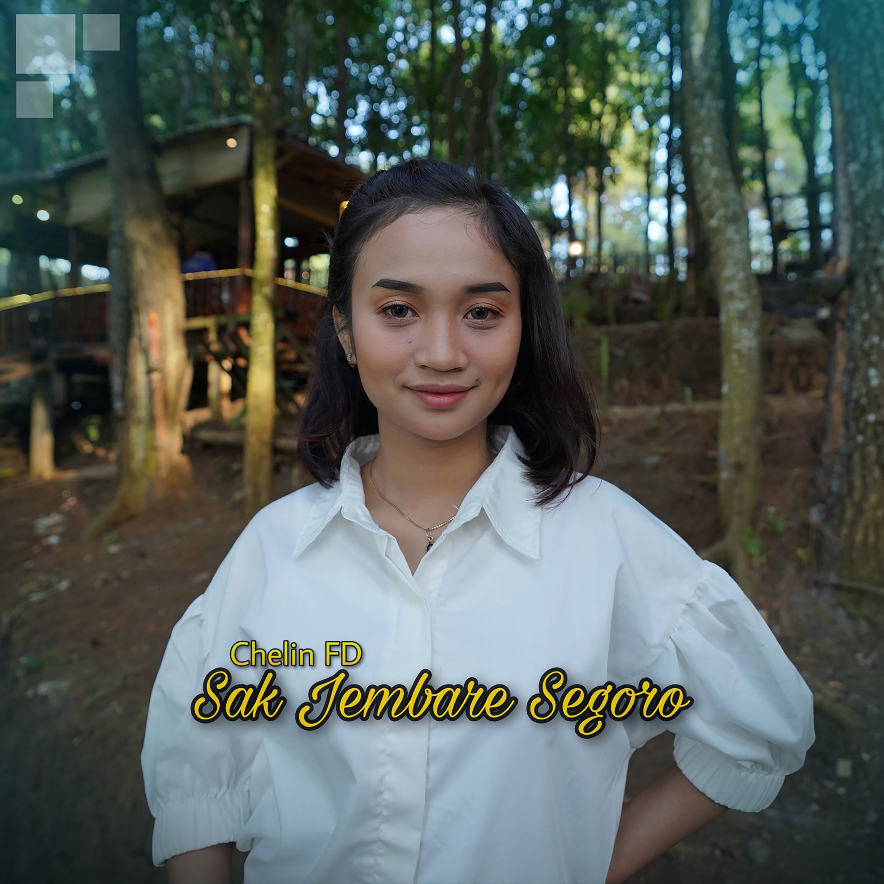 Sak Jembare Segoro - Single