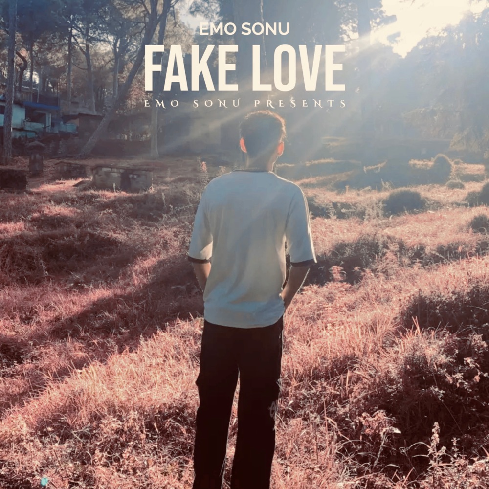 Обложка альбома «Fake Love - Single» — emo sonu