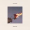 Flowers-Fire - Kingfishr lyrics