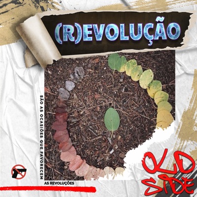 (R)evolução