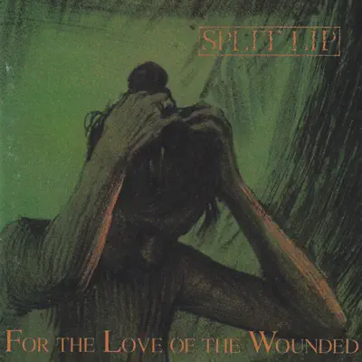 Dengarkan 'For The Love Of The Wounded' dari Split Lip.