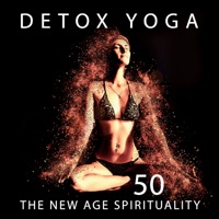 Detox Yoga: 50 The New Age Spirituality Music for Meditation, Ambient Nature Sounds, Instrumental Flute & Healing Tibetan Bowls - Yin Yoga Academy
