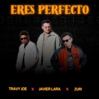 Eres Perfecto (feat. Travy Joe & Amor Extremo) - Single - Javier Lara
