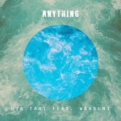 Anything (feat. Wanduni) - Single