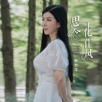思念化作风 (DJ沈念版) - Single - Ni Er Ping
