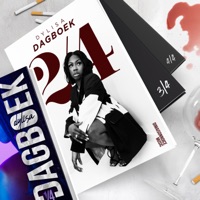 Dagboek 2 - Dylisa