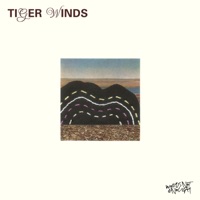 Tiger Winds - Single - Sonnero, Manuel Sanchez & Greg Ochman