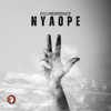 Nyaope - Killorbeezbeatz