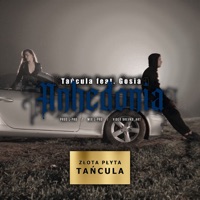 Anhedonia (feat. Gosia) - Single - Tańcula