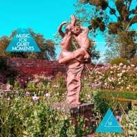 Music for Quiet Moments 15 - Affirmation (Atlanta 25 Feb 2006) - EP - Robert Fripp