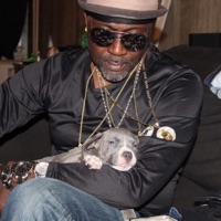 Pimpstress - Single - Chanj