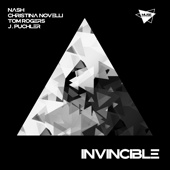 Invincible song art