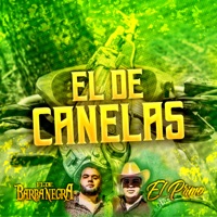 El De Canelas (feat. El Primo) - Single - El De Barba Negra