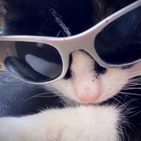 Thrift Thrills - EP - Ess