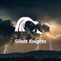 Storm Sleep - Silent Knights