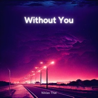 Without You - Single - Niklas Thal