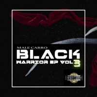 Imbokoto (feat. DJ Government, Charf Rizzer & Prince a HEART) - Single - Male Carro