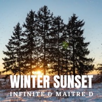 Winter Sunset (feat. Maitre D) - Single - Infinite