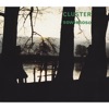 Dem Wanderer cover art
