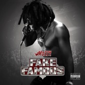 Fake Famous cover