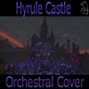 Hyrule Castle by Hajime Wakai