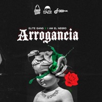 Arrogancia (feat. Elite Gang & I am el Negro) - Single - Flavor