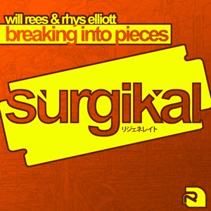 Breaking into Pieces - Single