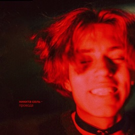 провода никита соль