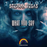 What You Say - Single - Stephan Vegas