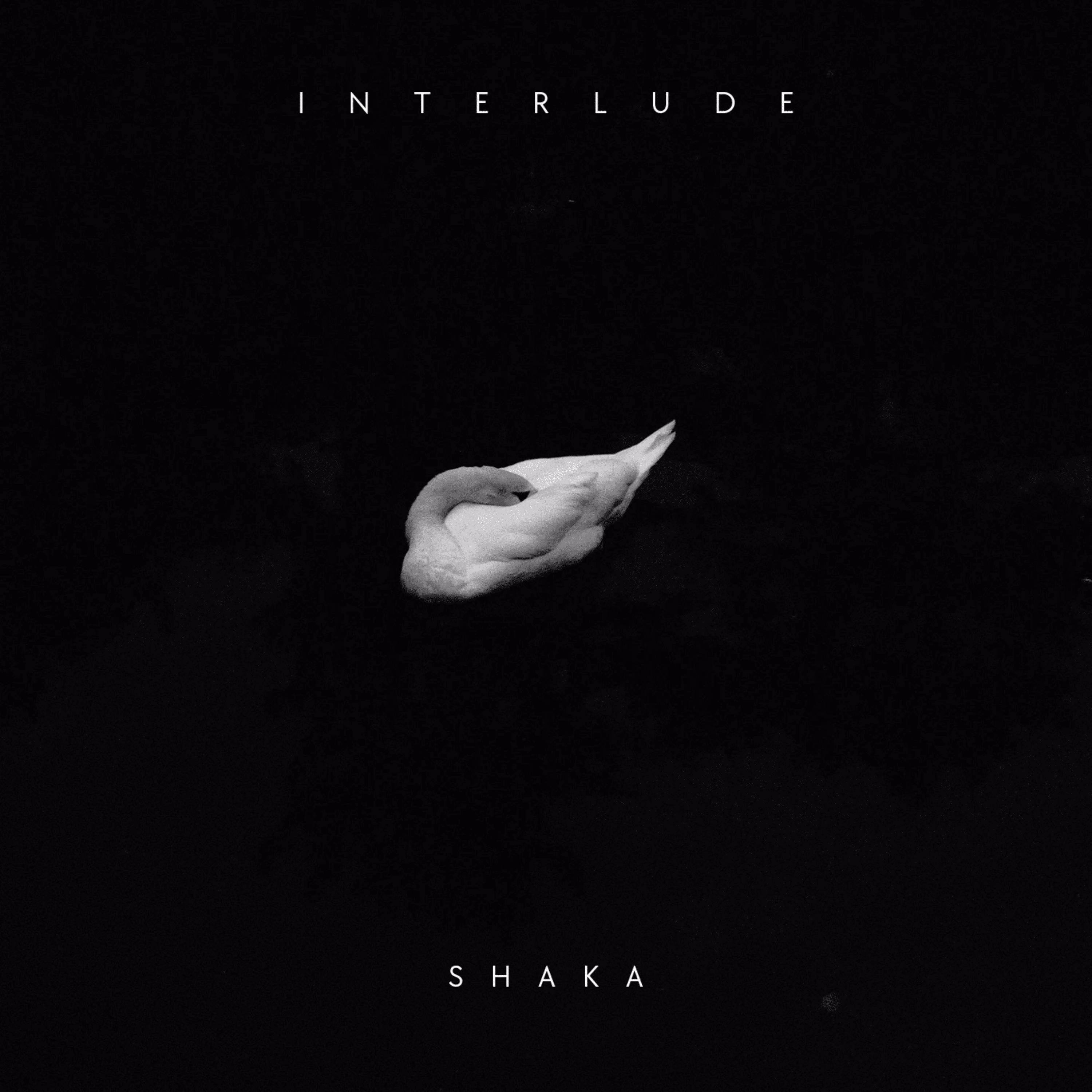 Interlude - Single