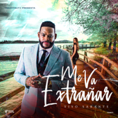 Me Va Extrañar - Yiyo Sarante