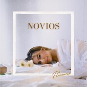 Novios artwork