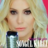 Dallarımı Kırdılar