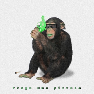 Tengo Una Pistola (feat. Benjita Versaxe) - Single