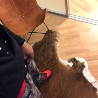 GET BACK! (feat. LAWSY) - Single - Lil P3dro Lil Goat