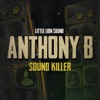 Sound Killer cover art