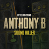 Sound Killer - Anthony B & Little Lion Sound