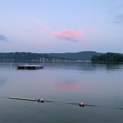 SETTLE (feat. Real Deal & EAMOB) - Single