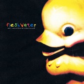 Fleshwater - Kiss the Ladder
