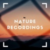 New Natural Noise