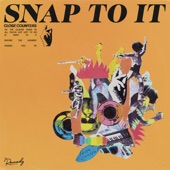 SNAP TO IT! artwork