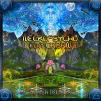 Fuerza del Aire - Single - Necropsycho