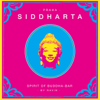 Siddharta, Spirit of Buddha Bar, Vol. 4: Praha - Various Artists